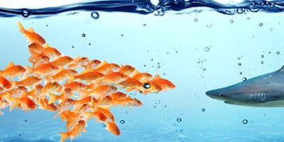 office-365-vs-eaglemercury office-365-vs-eaglemercury