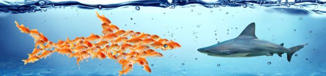 office-365-vs-eaglemercury office-365-vs-eaglemercury