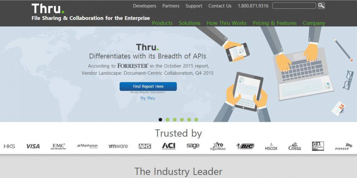 thru-sceglie-eagle-networks